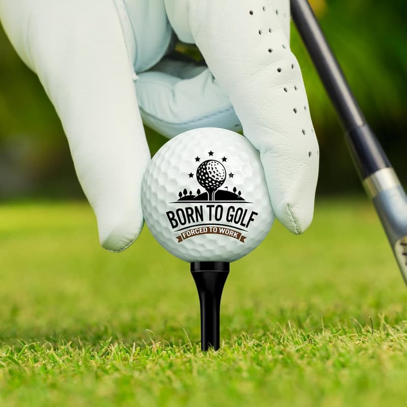 Patriotic Retirement Gift: 6 Pack Funny Golf Balls & Tees
