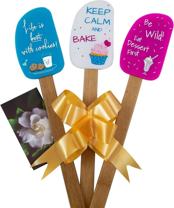 Silicone Spatula Gift Set with Bamboo Handles for Cooking