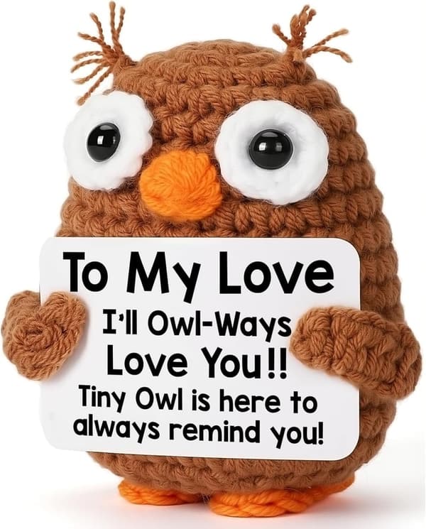 Handmade Crochet Cute Owl for Couple's Birthday or Anniversary