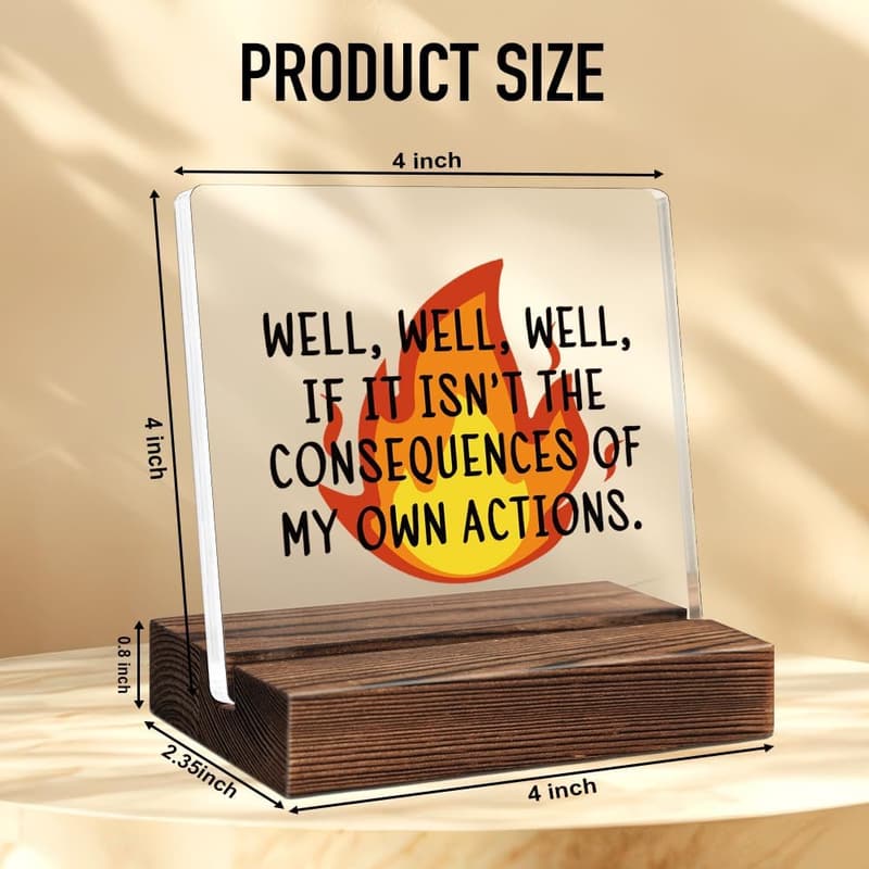 Funny Sarcastic Acrylic Office Plaque Sign for Coworkers