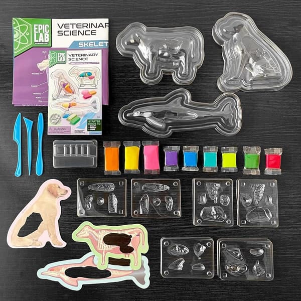 Animal Anatomy Science Kit for Kids 8+ with Modeling Clay