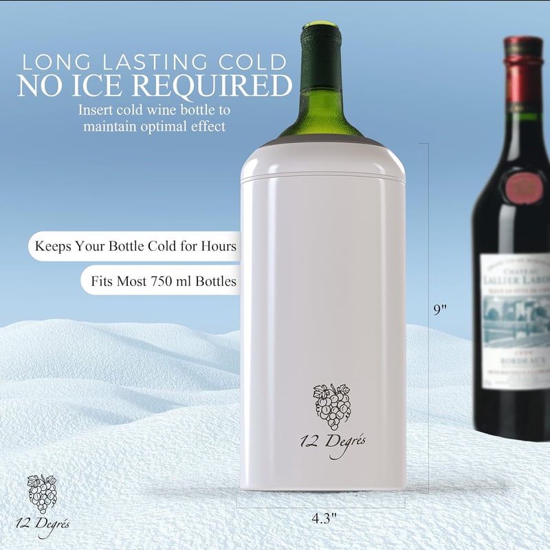 Wine Chiller Set - Stainless Steel Cooler with Pump & Stoppers
