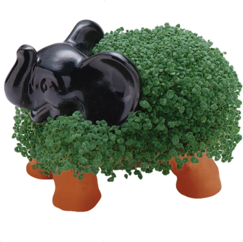 Chia Pet Elephant Planter with Seed Pack - Fun Novelty Gift