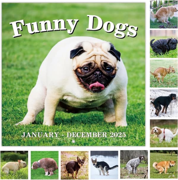 2025 Pooping Dogs Calendar - Funny White Elephant Gift