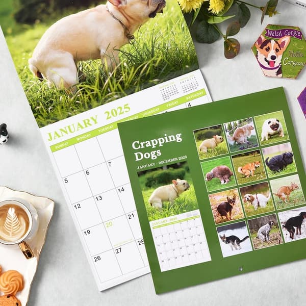 2025 Pooping Dogs Calendar - Funny White Elephant Gift