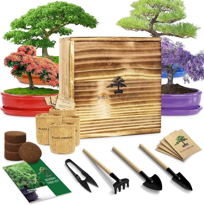 Bonsai Tree Kit – Complete Indoor Gardening Gift Set for All Ages