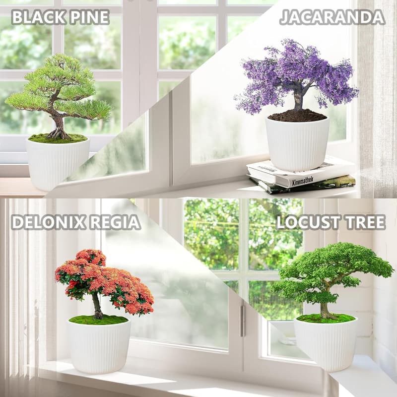 Bonsai Tree Kit – Complete Indoor Gardening Gift Set for All Ages
