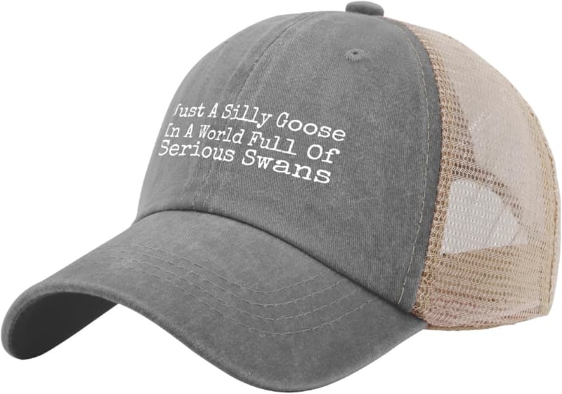 Silly Goose Gift for Dad’s Birthday