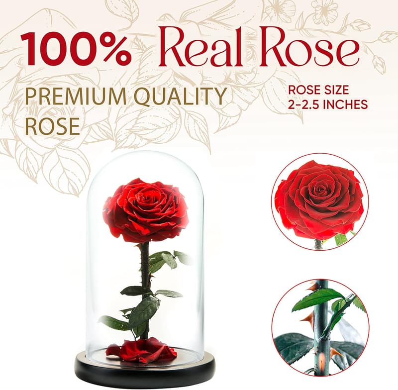 Eternal Rose in Glass Dome - Preserved Red Rose for Mom