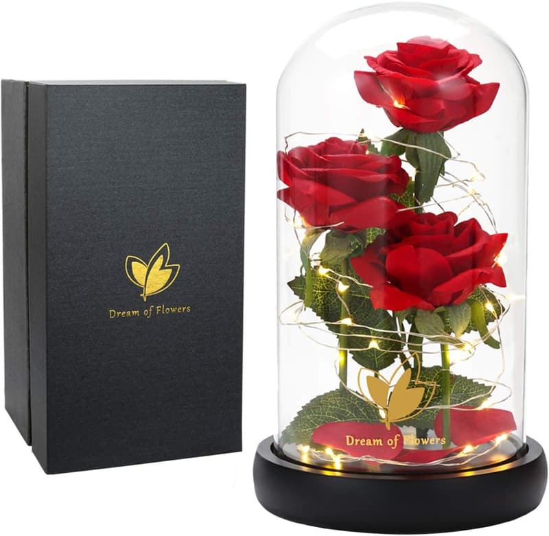 Mother's Day Glass Dome Rose Gift with Lights for Women