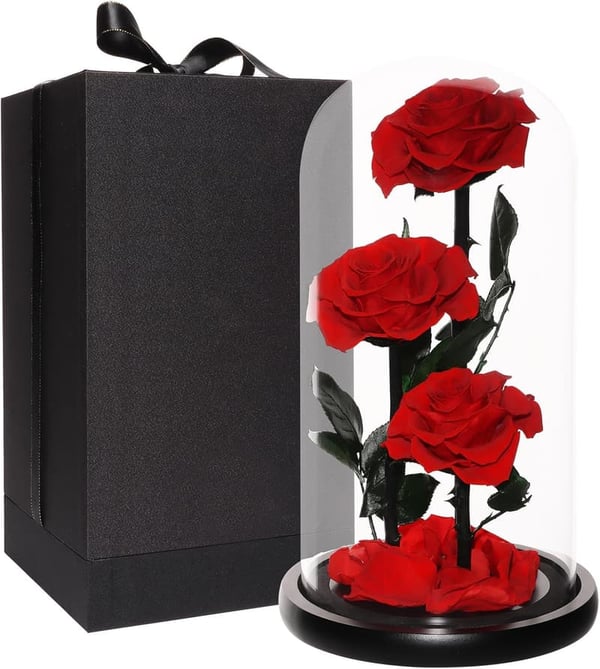 Eternal Preserved Roses in Glass Dome - Mother's Day Gift