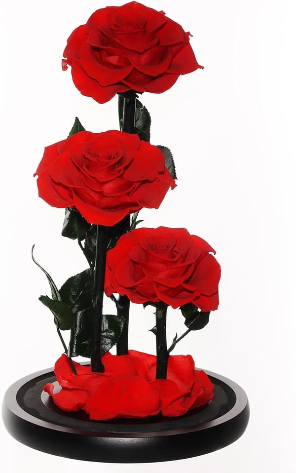 Eternal Preserved Roses in Glass Dome - Mother's Day Gift