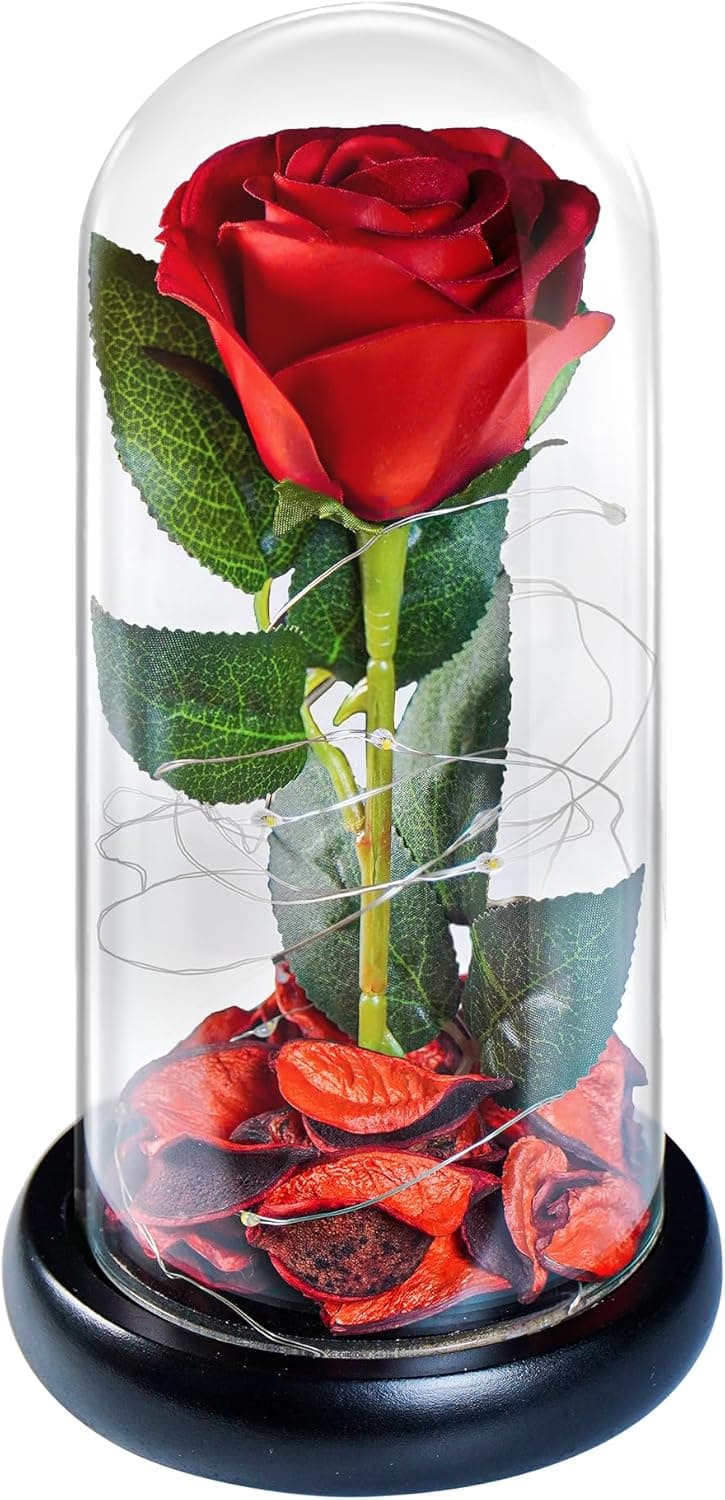 Valentine’s Day Silk Rose in Glass Dome for Women