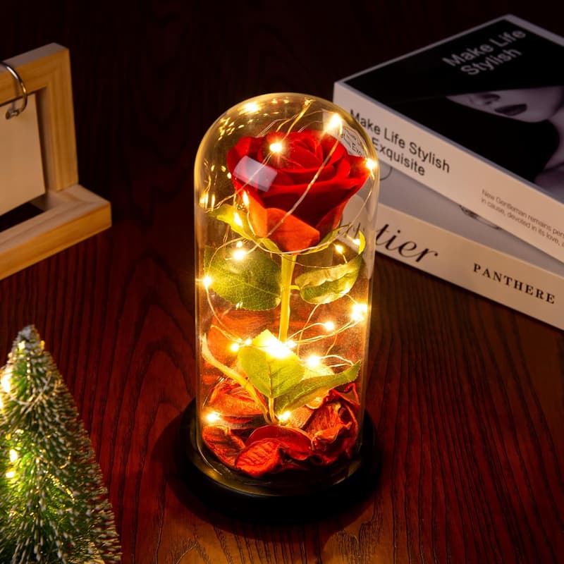 Valentine’s Day Silk Rose in Glass Dome for Women