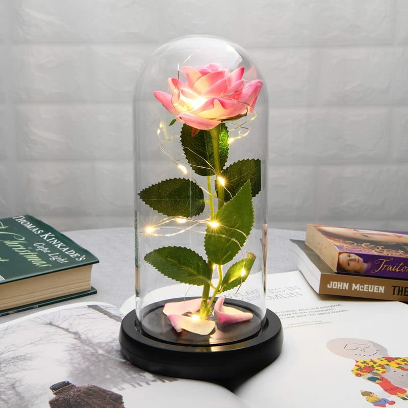 Enchanted Rose in Glass Dome for Women – Personalized Gift