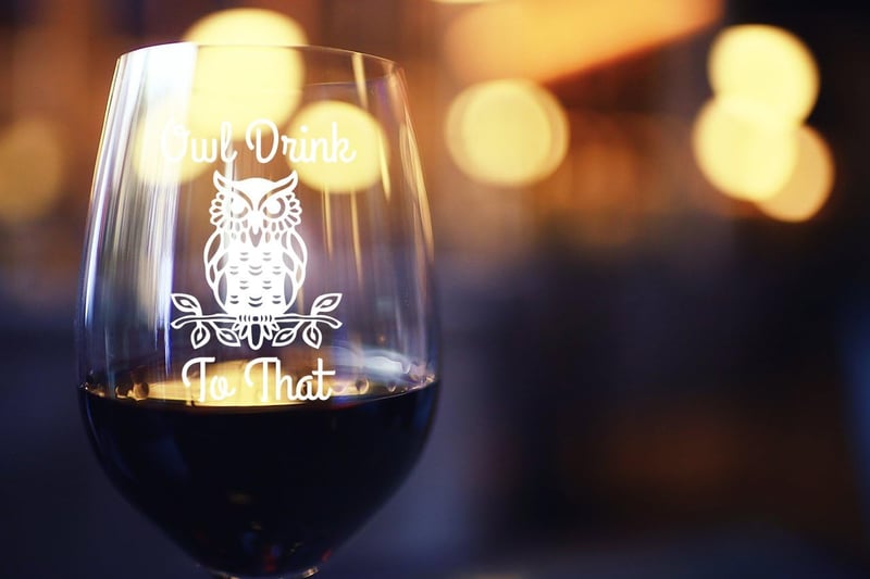 Funny Owl Stemless Wine Glass - 15 oz Birthday Gift