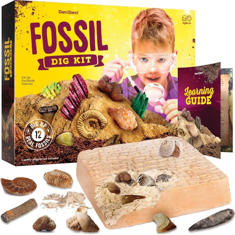 Kids' Fossil Dig Kit - STEM Science Gift for Ages 8-12