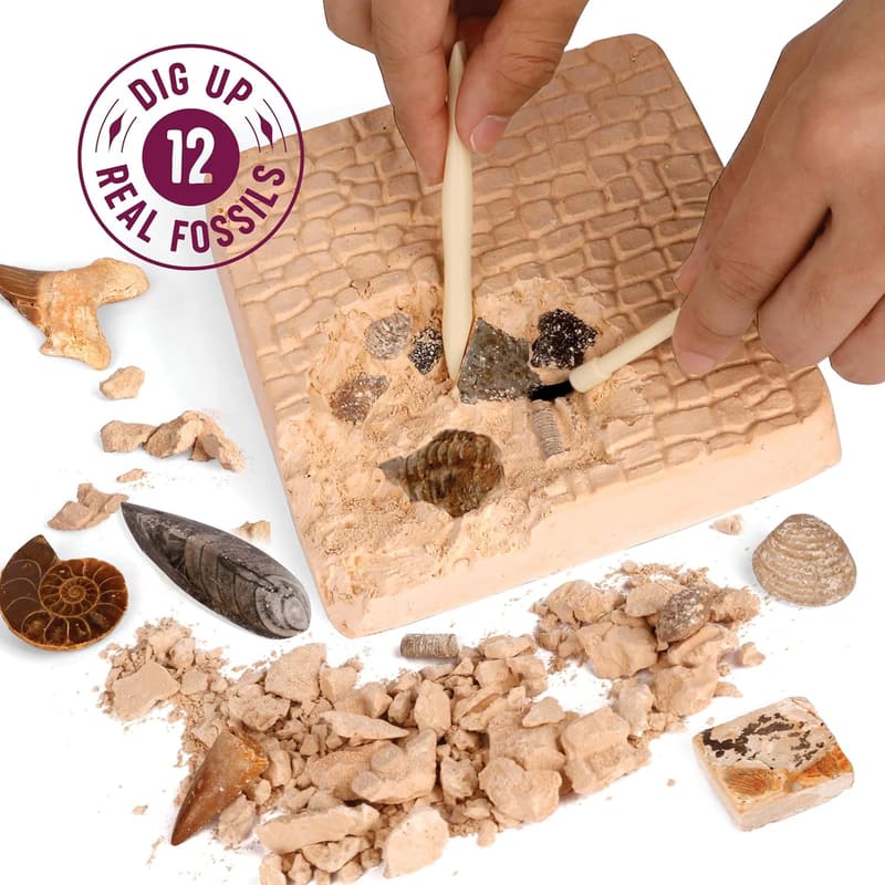 Kids' Fossil Dig Kit - STEM Science Gift for Ages 8-12