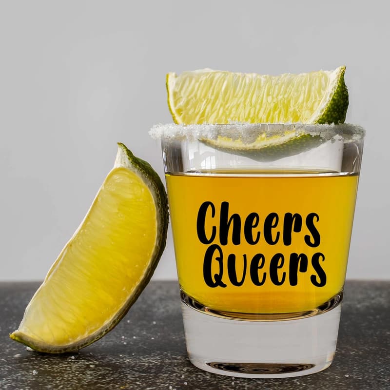 Pride Month Shot Glasses - Funny Gifts for LGBTQ+ Adults