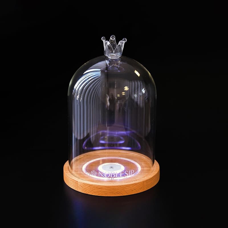 Father's Day Cocktail Smoker Kit with Glass Dome & Wood Chips