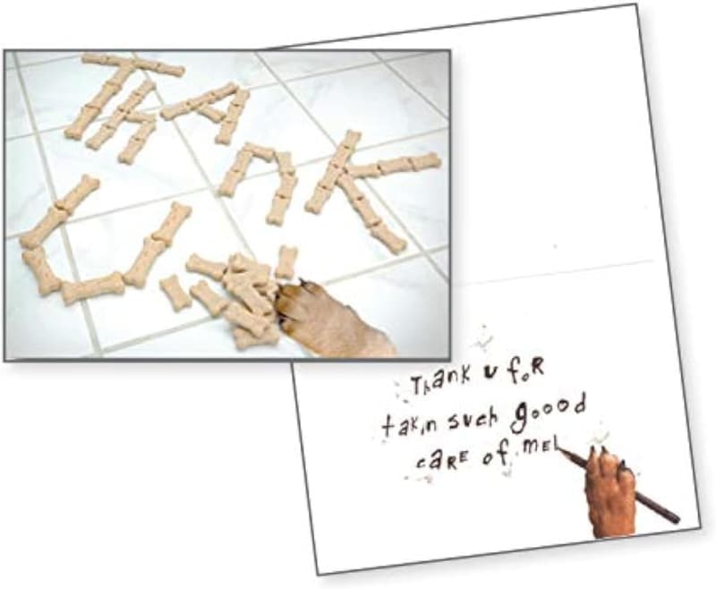 Pet Sitter Thank You Card with Dog Paw Design, 4.75