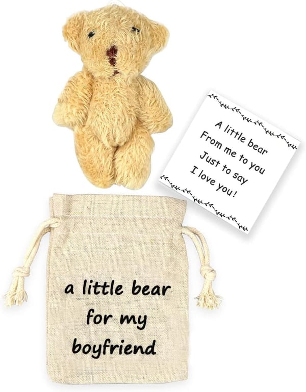 Long-Distance Relationship Pocket Teddy Bear Gift