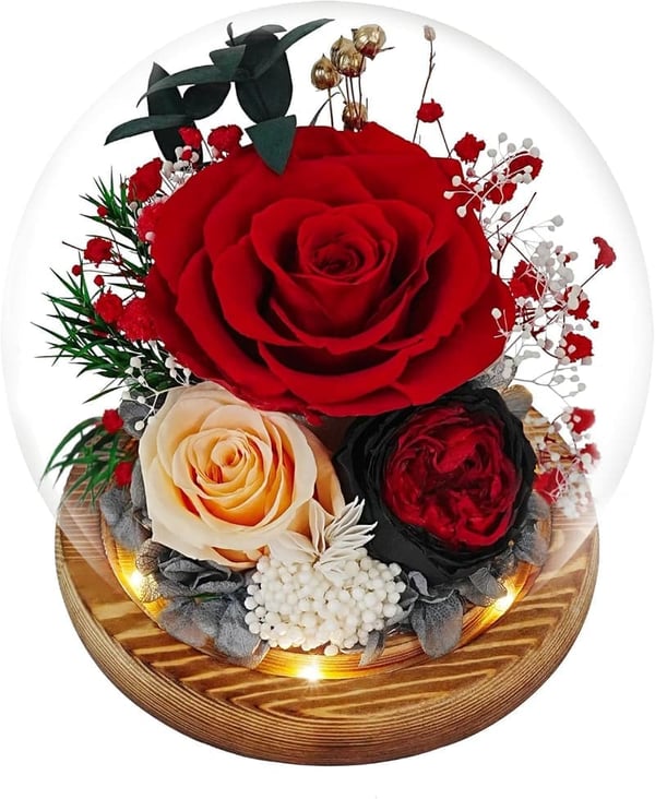 Eternal Red Rose in Glass Dome - Birthday Gift for Her