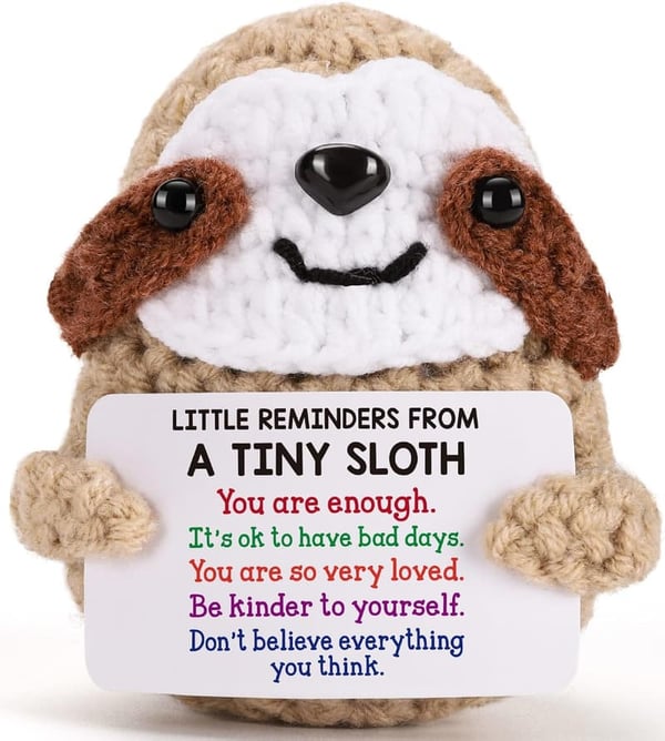 Cute Knitted Sloth Gift for Women's Birthday