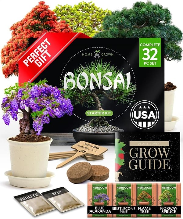 Bonsai Tree Kit - Grow 4 Unique DIY Trees for Plant Lovers