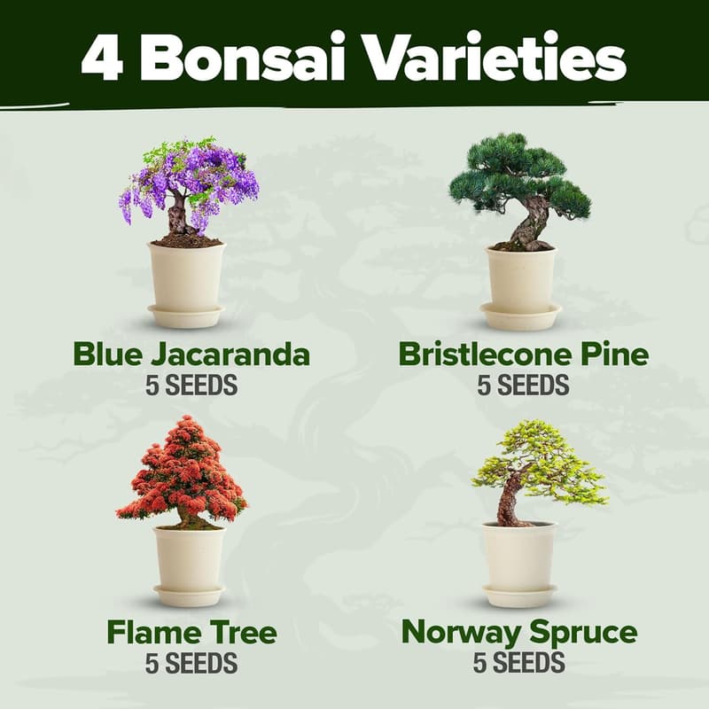 Bonsai Tree Kit - Grow 4 Unique DIY Trees for Plant Lovers