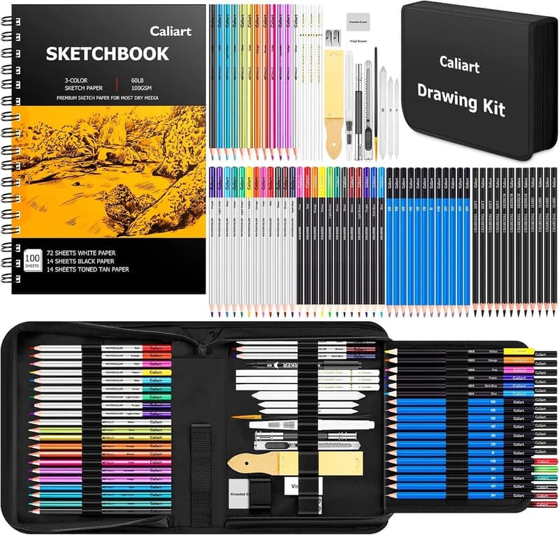 176PCS Art Supplies Sketching Kit with 100 Sheets for Artists