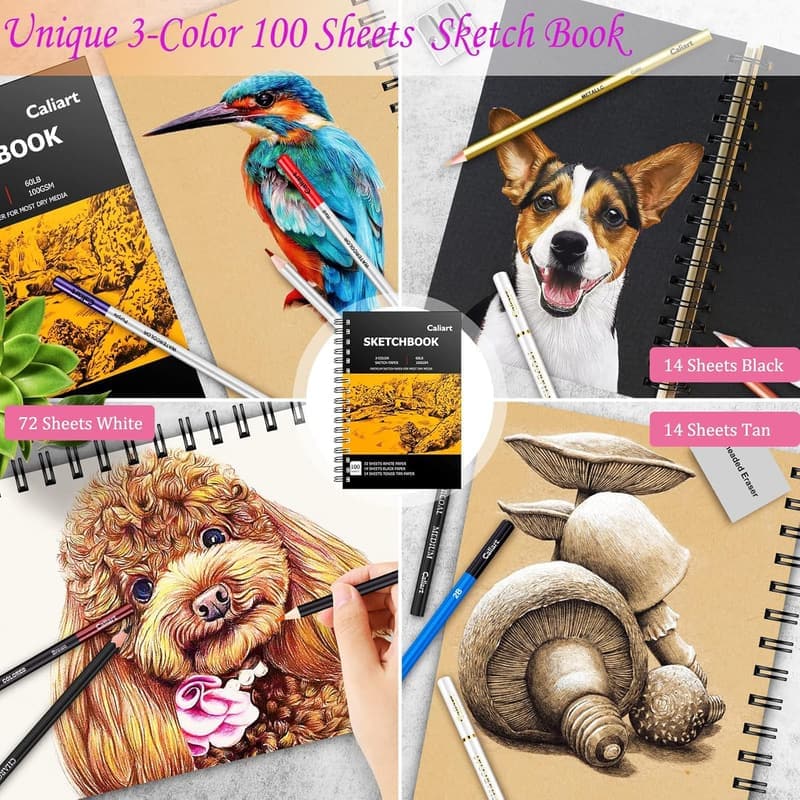 176PCS Art Supplies Sketching Kit with 100 Sheets for Artists