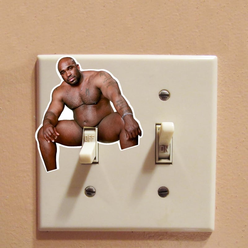 Funny Barry Wood Light Switch Decal Sticker 10-Pack