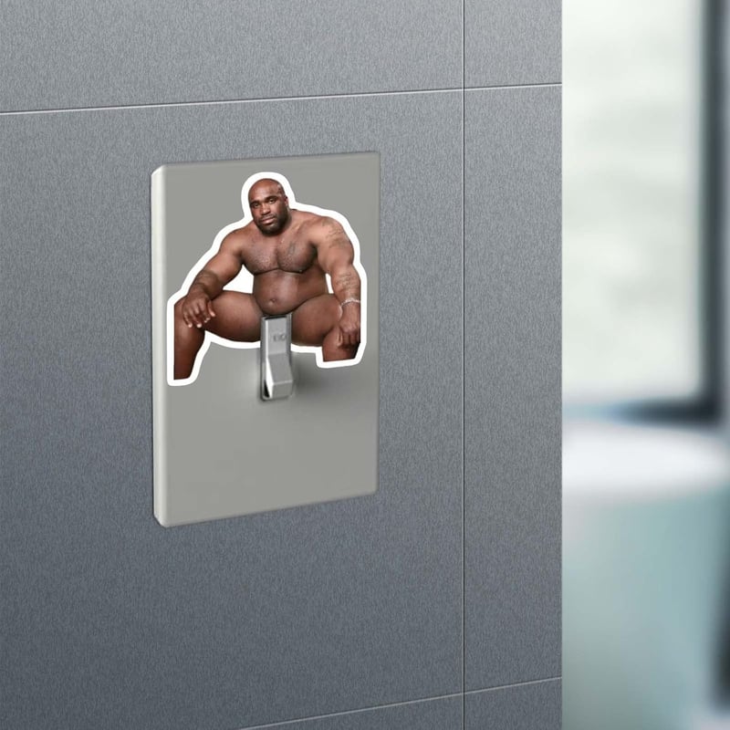Waterproof Vinyl Funny Barry Wood Light Switch Decals (10 Pcs)