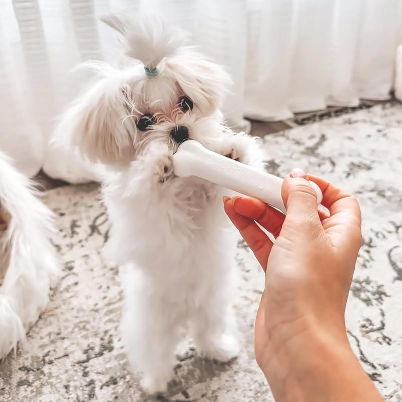 Puppy Starter Kit with 2 Chew Toys & 1 Treat, Bacon/Chicken Flavor