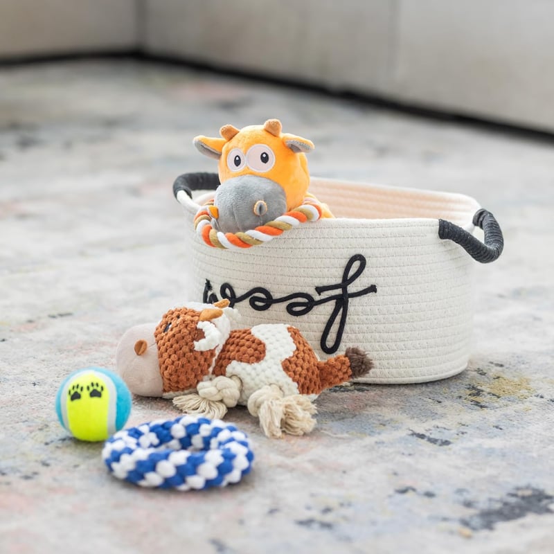 Puppy Gift Basket - Premium Starter Kit with Toys and Essentials