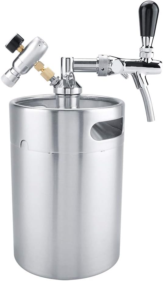 Stainless Steel Mini Keg Beer Dispenser Set for Home Brewing