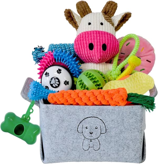 20-Piece Teething Chew Toy Set for Small to Medium Dogs