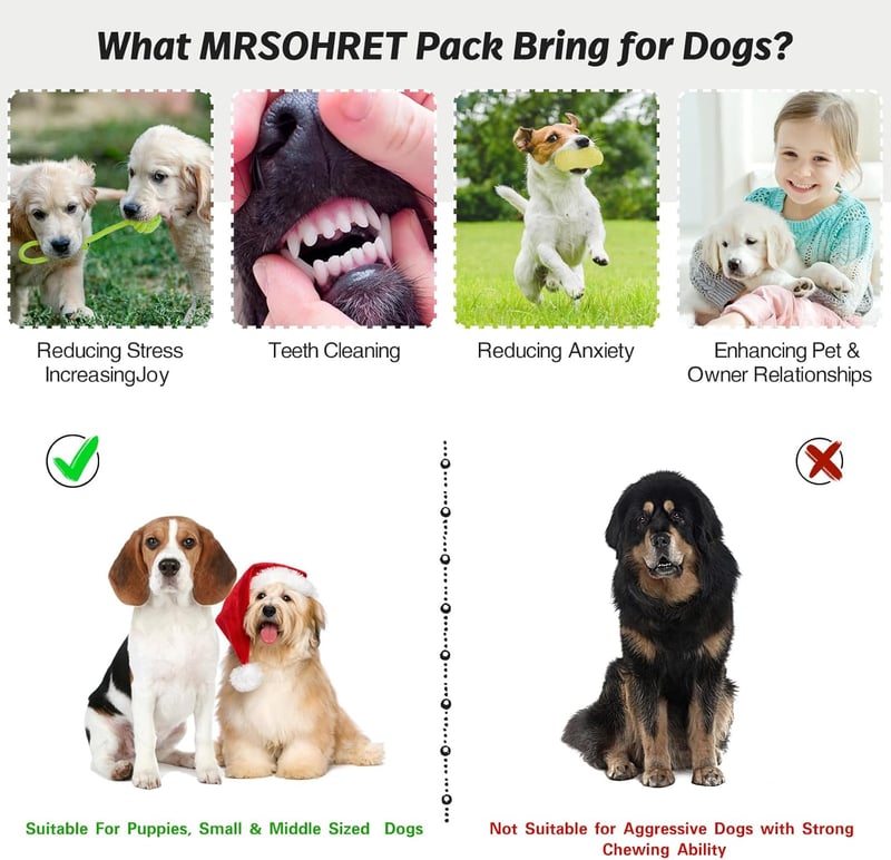 20-Piece Teething Chew Toy Set for Small to Medium Dogs