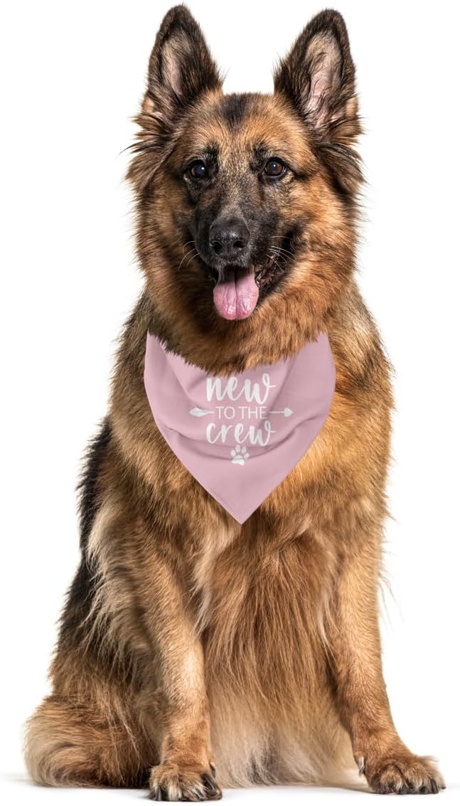 New Puppy Dog Bandana for Small & Medium Dogs