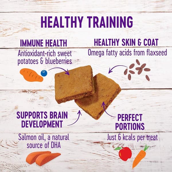 Natural Grain-Free Puppy Training Treats - Soft Lamb & Salmon 3oz