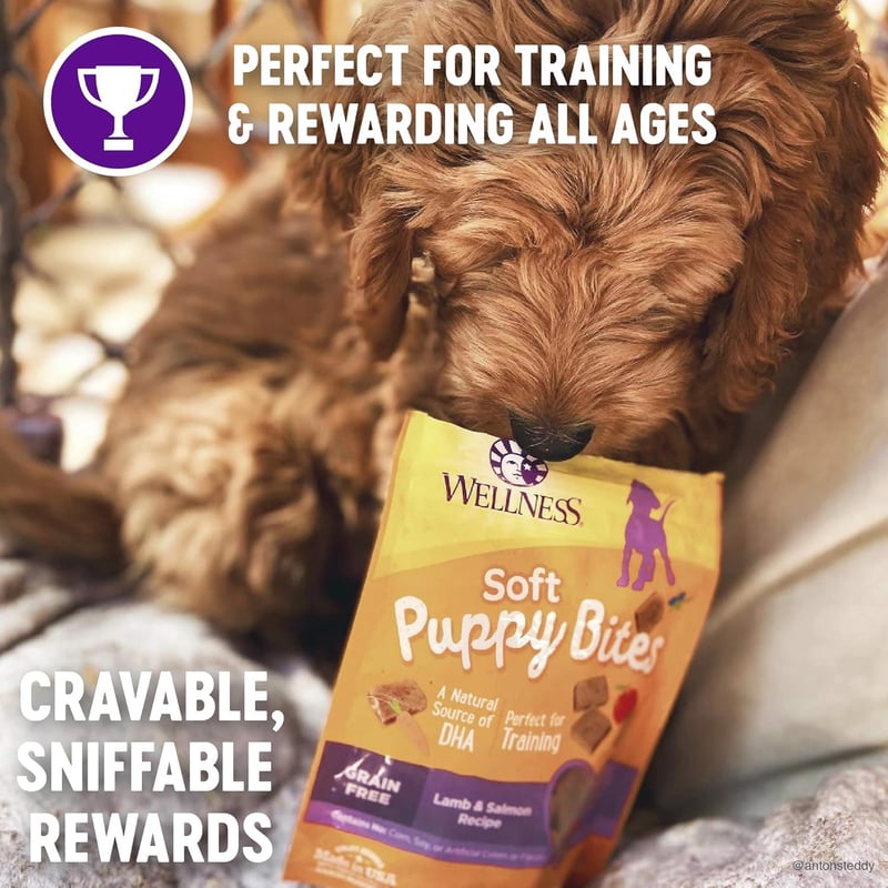 Natural Grain-Free Puppy Training Treats - Soft Lamb & Salmon 3oz