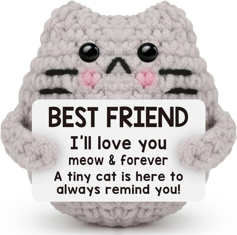 Handmade Crochet Cat Gifts for Friends - Emotional Reminders