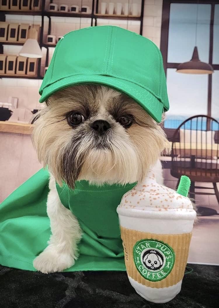 Fall Plush Squeaky Dog Toy - Parody Pup'kin Spice Latte