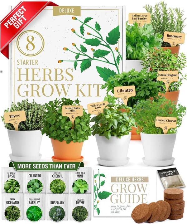 Deluxe 8 Herb Seeds Garden Kit – Indoor Planter Gift Set