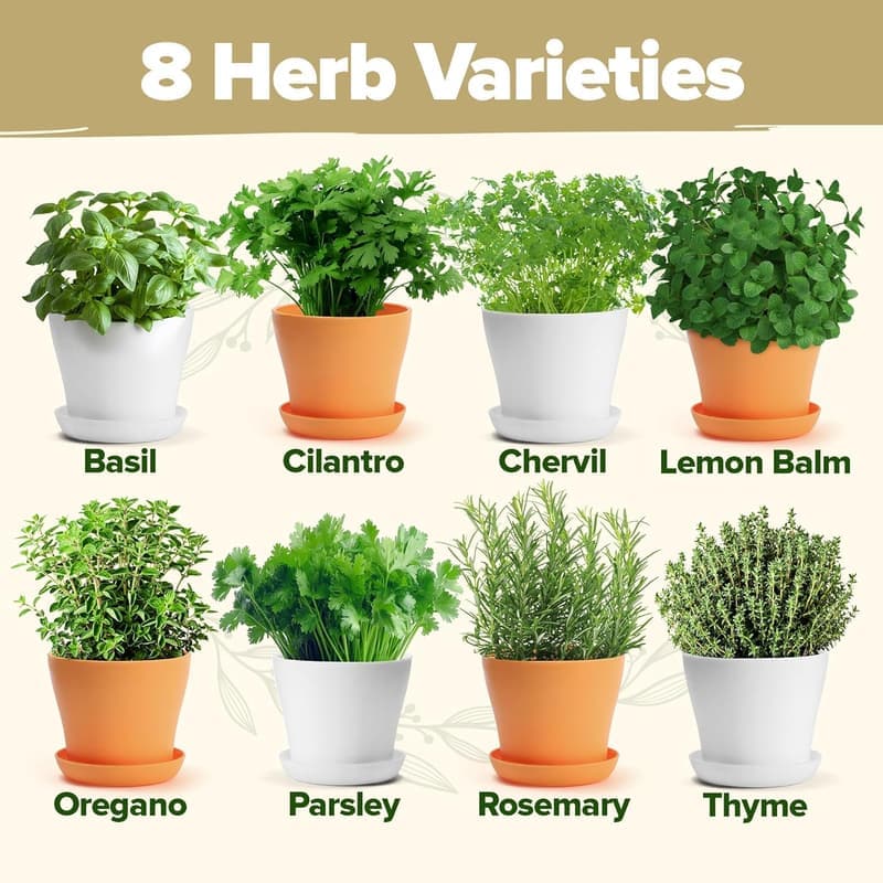 Deluxe 8 Herb Seeds Garden Kit – Indoor Planter Gift Set