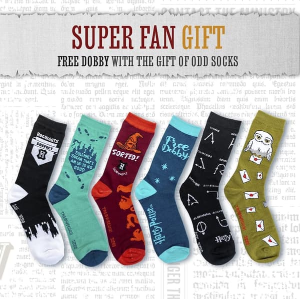 Harry Potter Sock Set - 6 Assorted Styles for Fans (Size 36-41)