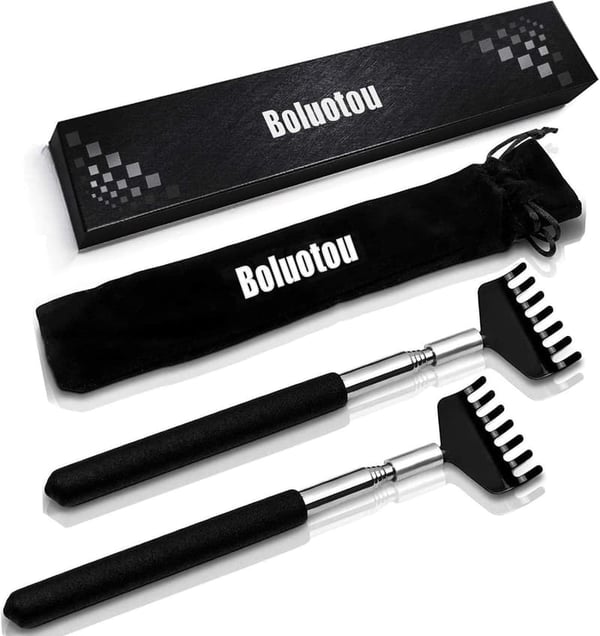 Portable Stainless Steel Telescoping Back Scratcher - 2 Pack