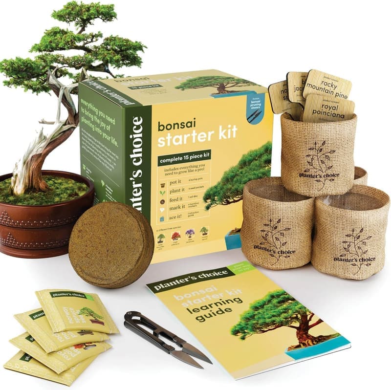 Bonsai Starter Kit - Unique Gardening Gift for Plant Lovers