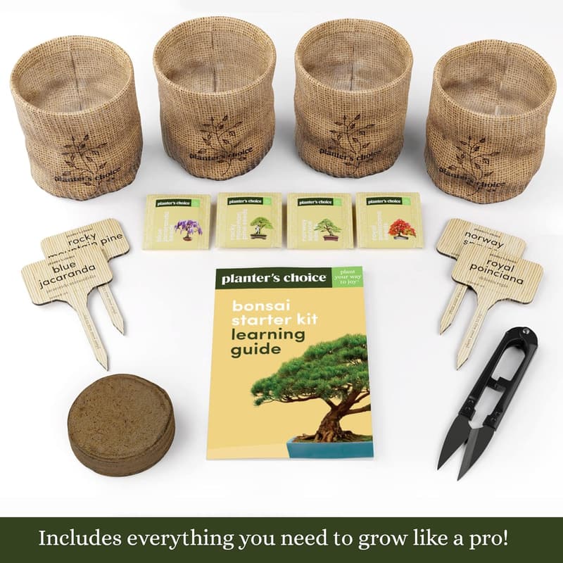 Bonsai Starter Kit - Unique Gardening Gift for Plant Lovers